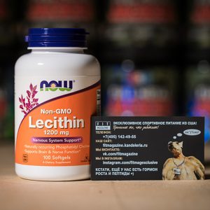 NOW Lecithin 1200